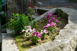DSC03209
